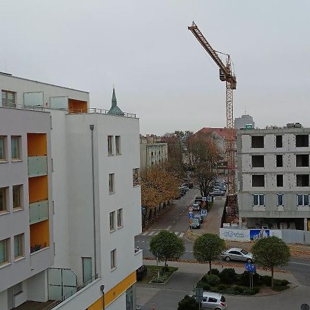 Apartament Fala-Miodowy Dom コウォブジェク エクステリア 写真