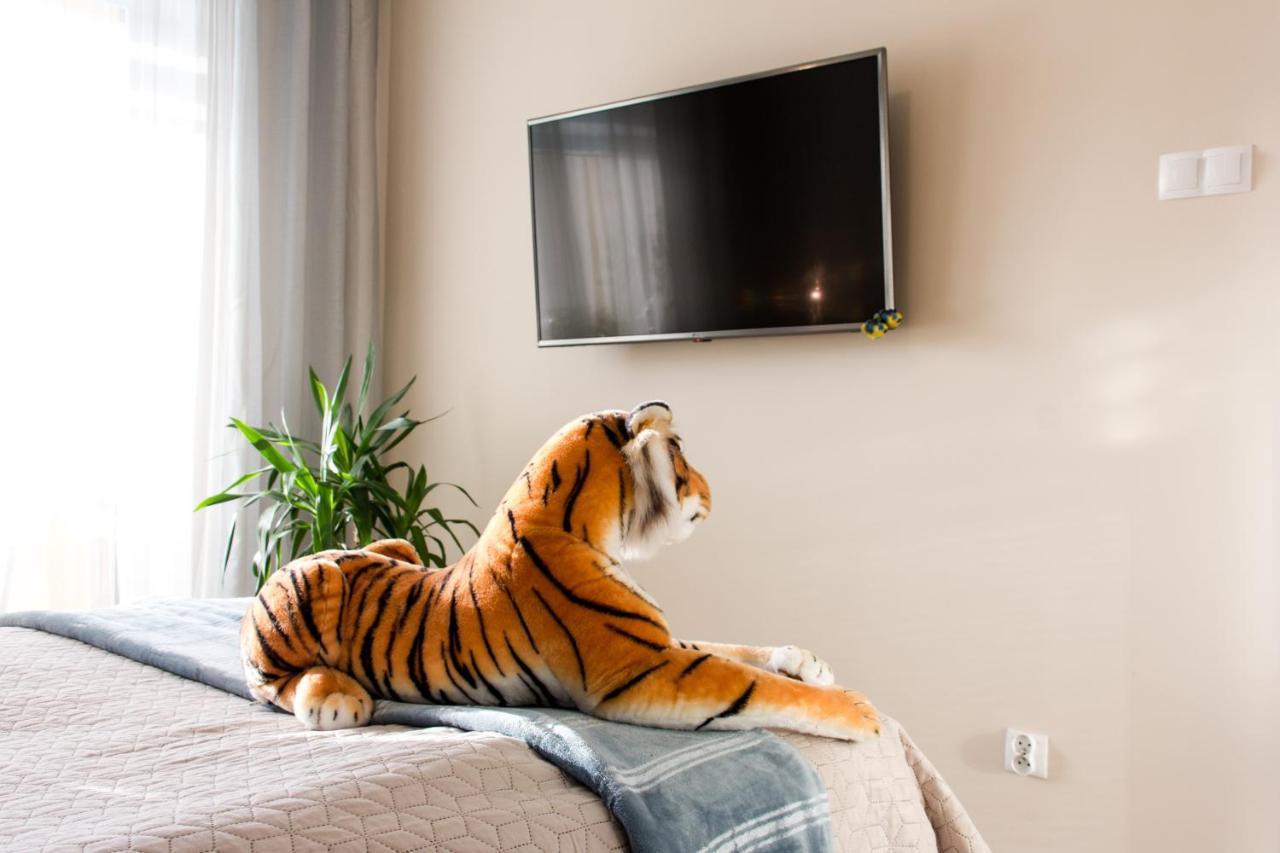 Apartament Fala-Miodowy Dom コウォブジェク エクステリア 写真