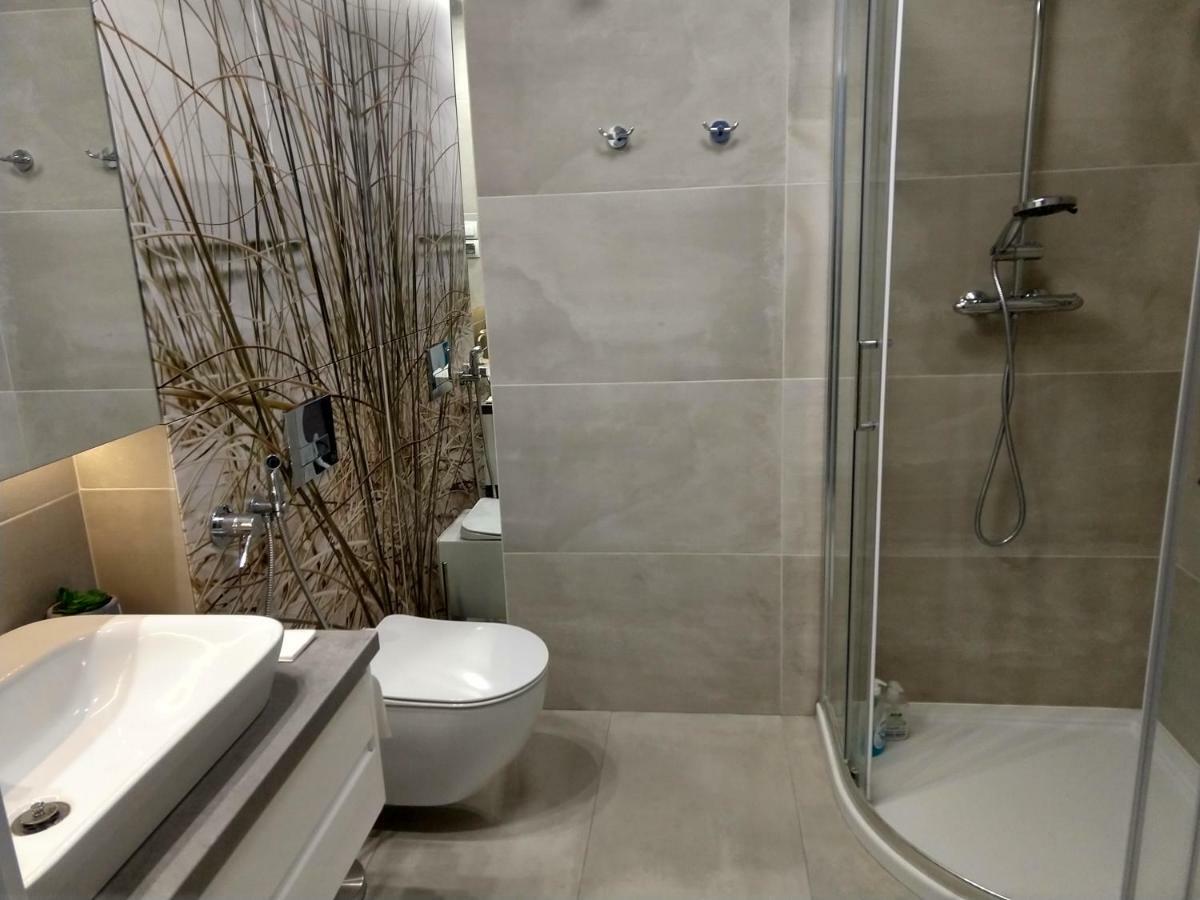 Apartament Fala-Miodowy Dom コウォブジェク エクステリア 写真