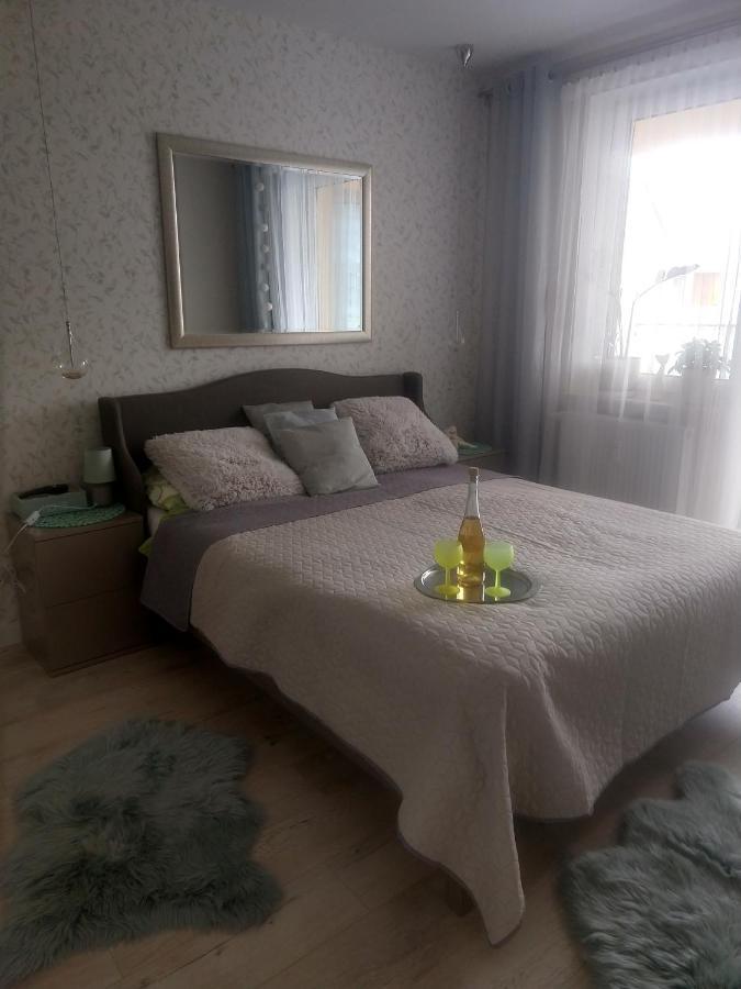 Apartament Fala-Miodowy Dom コウォブジェク エクステリア 写真